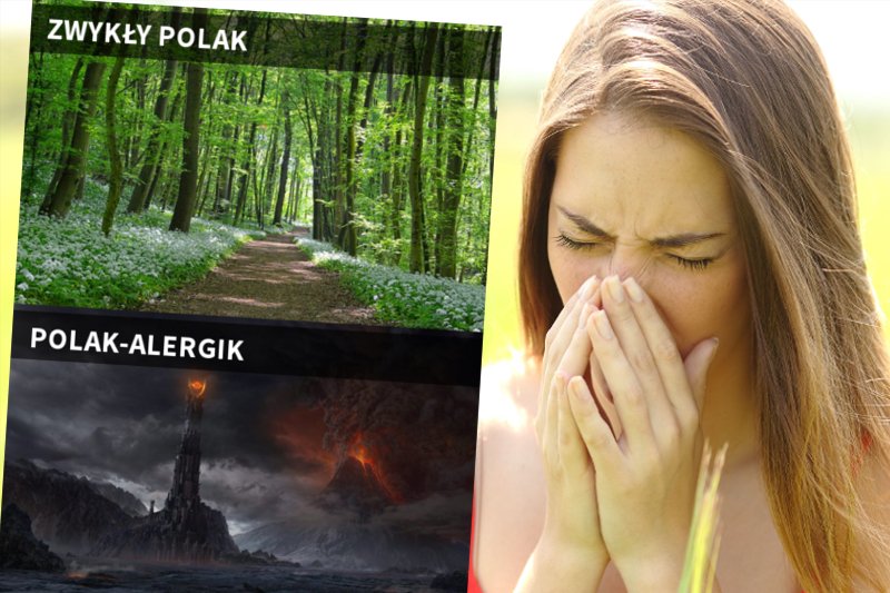 Wiosna widziana załzawionymi oczami alergików.