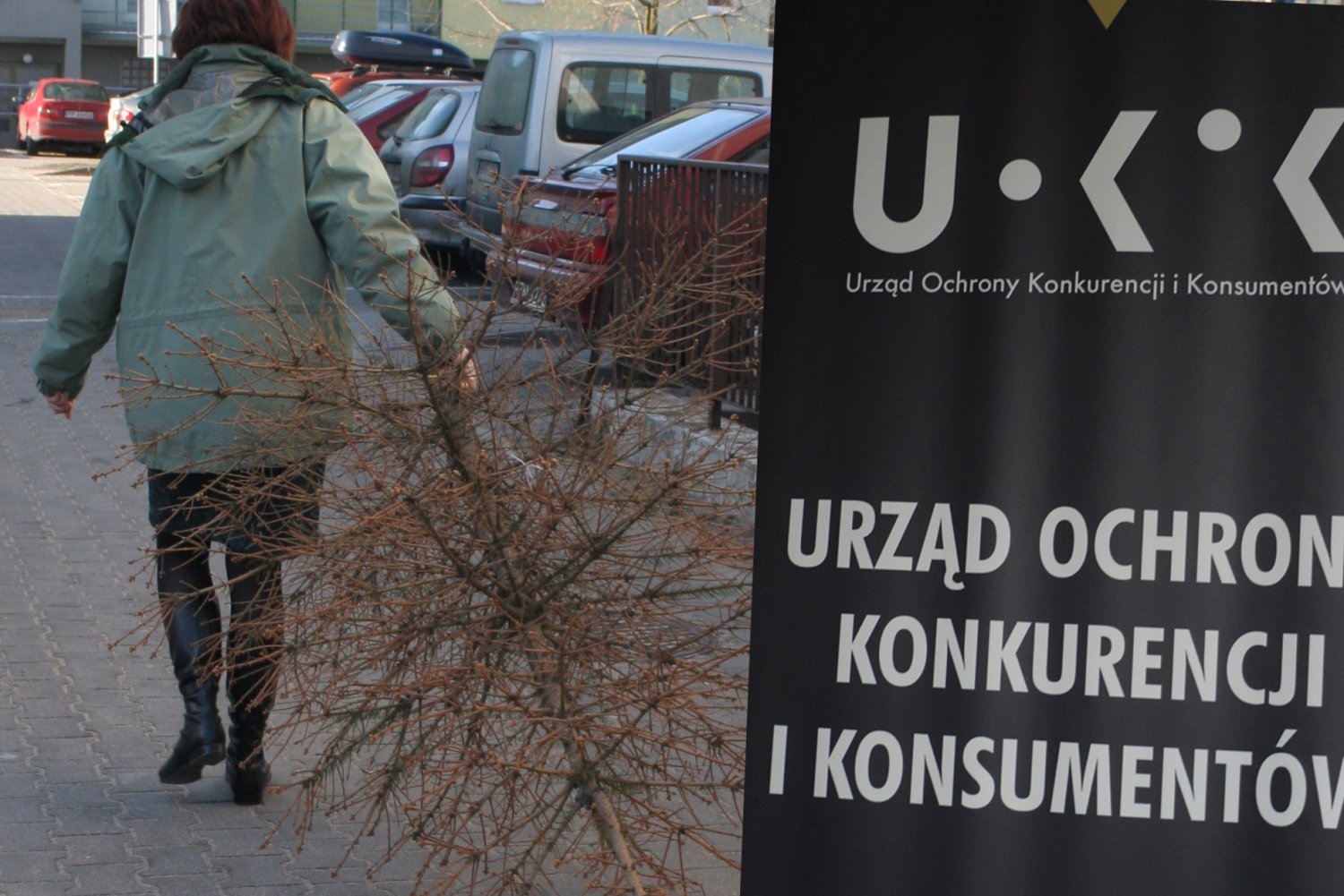 Oszukani na choinkach żądają zwrotu pieniędzy lub wymiany drzewka na nowe - podaje UOKiK.