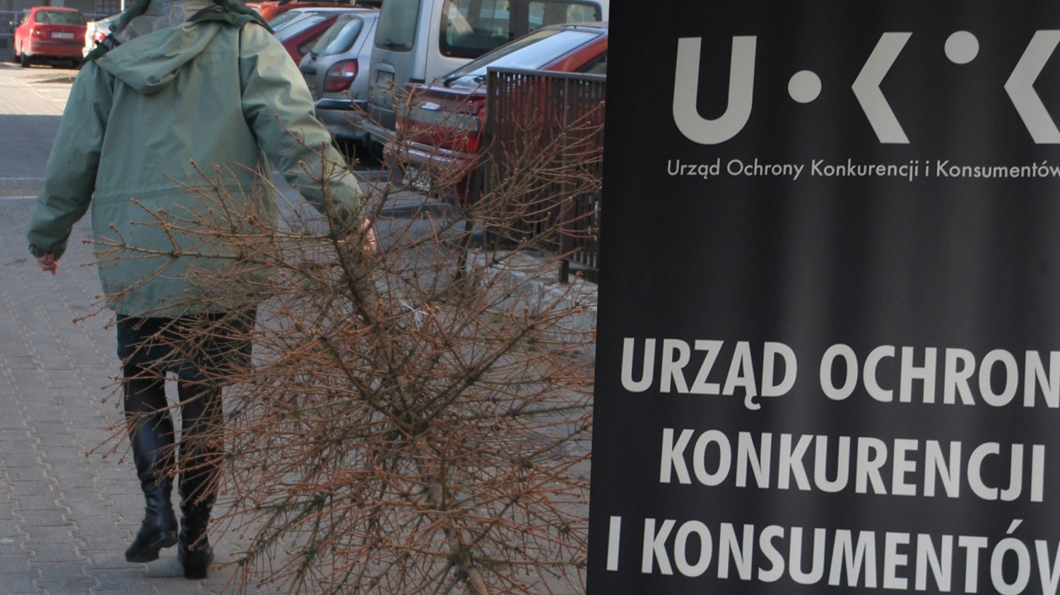 Oszukani na choinkach żądają zwrotu pieniędzy lub wymiany drzewka na nowe - podaje UOKiK.