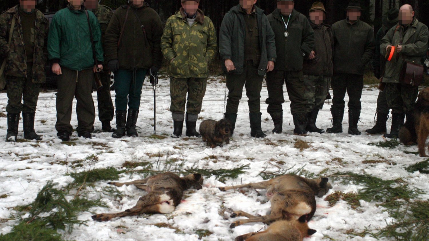 Polski Związek Łowiecki nie chce pokazywać, jak wygląda myślistwo.