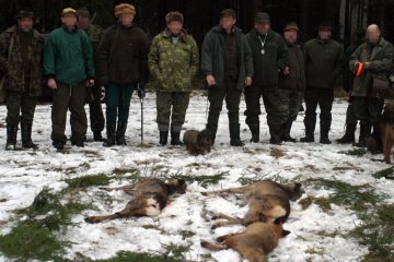 Polski Związek Łowiecki nie chce pokazywać, jak wygląda myślistwo.