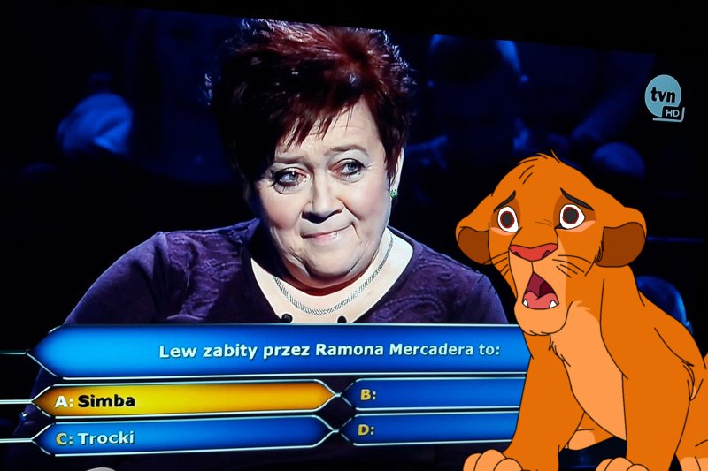 Pani Grażyna zabiła Simbę w "Milionerach"