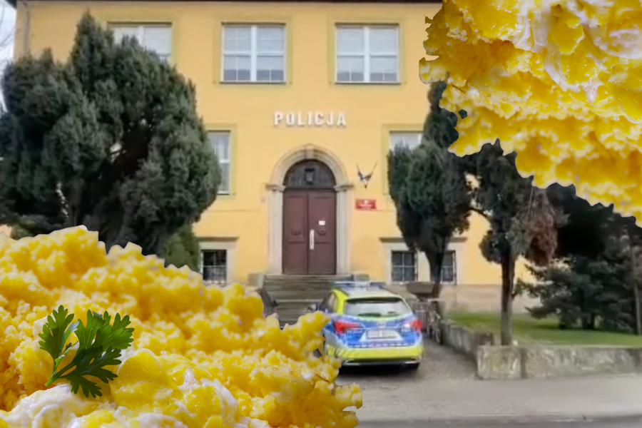 Wiecie, co się stało w Legnicy? Komenda Policji zrobiła piosenkę, w której nie ma wątku o jajecznicy