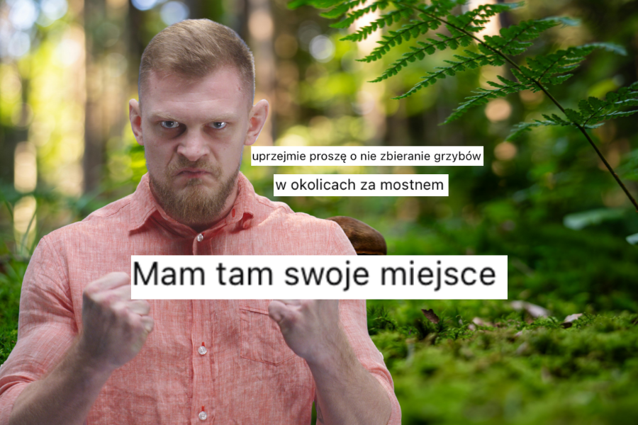 PILNE: Nie zbierajcie grzybów za mostem w Żywcu, bo to miejsce ma już swojego Grzybowego Pana