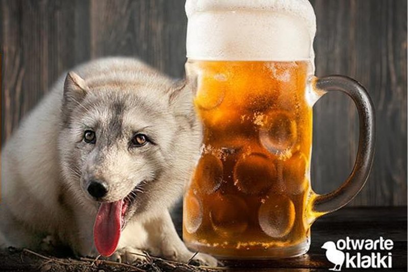 Kup piwo dla zwierzaka.