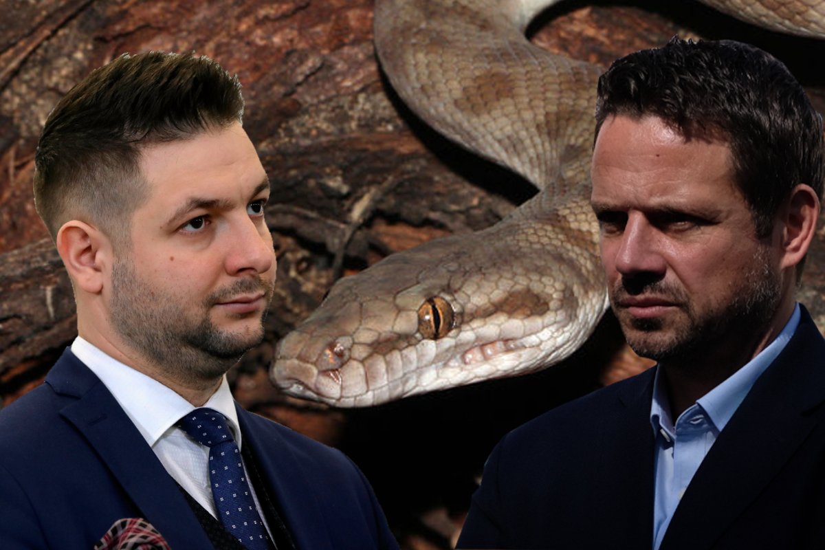 Jaki i Trzaskowski stają do boju z pytonem.