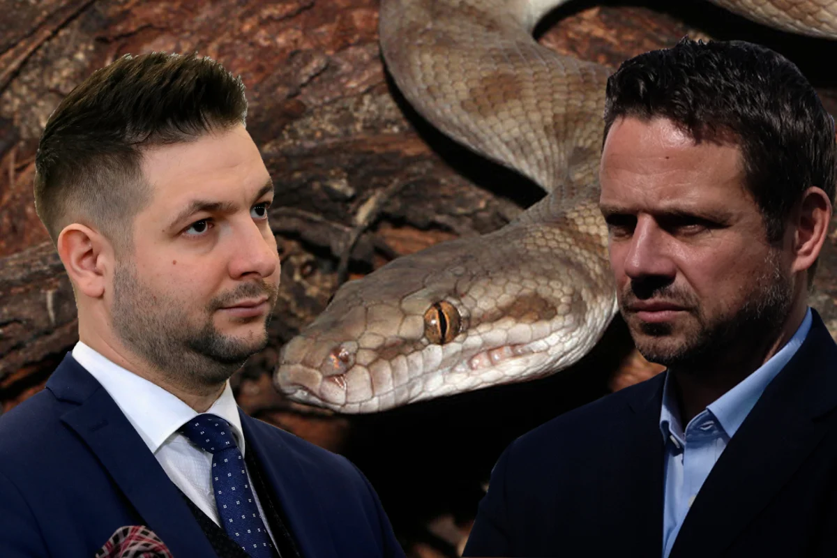 Jaki i Trzaskowski stają do boju z pytonem.