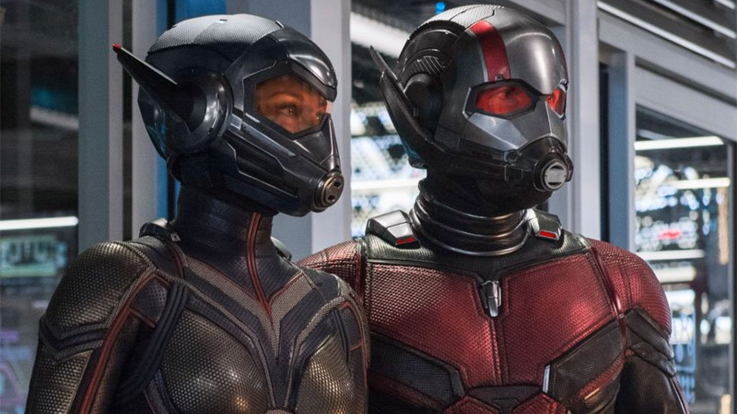 Trailera "Ant-Man and the Wasp" nie będzie, bo autor nie może się oderwać od oglądania trailera "Ant-Man and the Wasp".