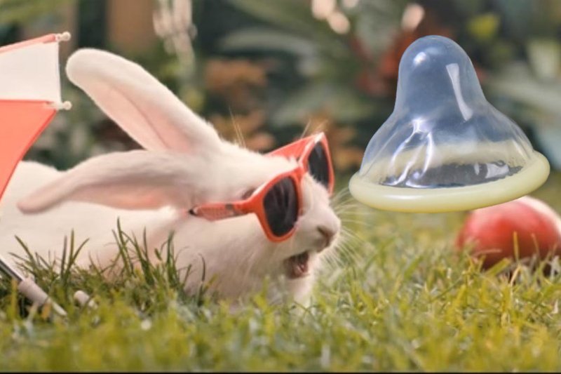 Królik ze spotu Ministerstwa Zdrowia i kondom. Co je łączy? Bardzo dużo.