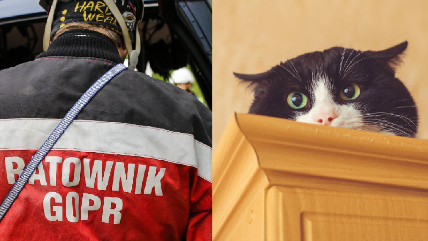 Ratownik od 4 godzin próbuje przekonać kota, że pomoże mu zejść z szafy.