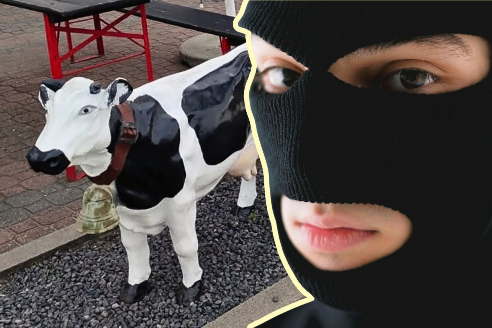 Wszyscy byliśmy w tym miejscu. Mężczyzna ukradł plastikową krowę